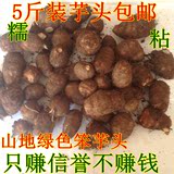 新鲜芋头/山东特产小毛芋头 香芋芋艿胜荔浦芋头当季蔬菜5斤包邮