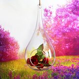 悬挂玻璃球 空心植物吊瓶水滴花瓶 玻璃手工艺品 创意生活挂饰品