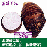 【农夫之秋】广西荔浦芋头槟榔芋香芋 新鲜 有机种植5斤包邮