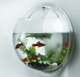 厂家直销壁挂鱼缸 壁挂花瓶花盆花有机玻璃亚克力创意墙壁金鱼缸