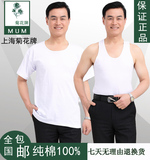 上海菊花牌T恤男士汗衫纯棉白色老人短袖中老年夏季60支棉老头衫
