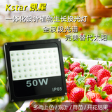植物通用全光谱LED均衡生长 多肉大棚草莓室内种植植物补光投光灯