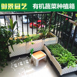 促销 阳台种植箱  长方形种菜盆特大塑料花盆有机蔬菜 组合槽设备