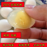 特级农家孕妇鸽子蛋包邮有机信鸽20枚五谷杂粮白鸽蛋新鲜宝宝辅食