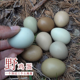 【35枚】野鸡蛋包邮七彩山鸡蛋农家散养土鸡蛋纯天然新鲜草鸡蛋