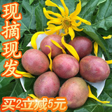 广西现摘百香果鸡蛋果西番莲热带孕妇新鲜水果24个精装大红鲜果