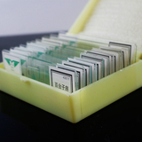 领航显微镜切片标本儿童实验科学玩具盒装植物生物永久封片套装