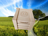 普洱茶木箱 七子饼木盒 茶叶饼木箱子 茶叶木盒包装定做现货通用