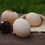 农味之家 新鲜野生白鹭鸭蛋 生态放养鸭蛋 30枚草鸭蛋土鸭蛋包邮