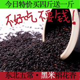 东北赤峰农家自产黑香米五常黑米稻花香五谷杂粮放心粗粮 黑大米
