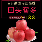 山东烟台苹果栖霞红富士苹果水果新鲜农家特产纯天然5斤11-12个
