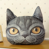 3D猫咪卡通抱枕沙发靠垫办公室靠枕床头靠背汽车护腰靠垫腰枕垫