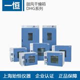 上海一恒 DHG-9015A电热恒温鼓风干燥箱烘干箱高温箱工业烤箱烘箱