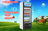 兴南立式玻璃门直冷展示柜 家用 商用冷藏节能冷柜 冰箱LG-300