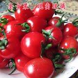 陕西特产农家新鲜果蔬有机圣女果营养水果樱桃春桃小西红柿小番茄