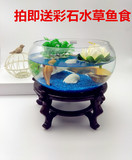 创意水族箱生态圆形鼓缸形玻璃金鱼缸乌龟缸迷你小型造景水培花瓶
