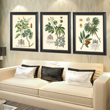 客厅装饰画美式乡村挂画植物花卉北欧餐厅壁画卧室书房实木框画