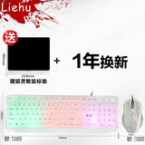 猎狐背光游戏键盘鼠标套装七彩发光CF有线彩虹笔记本台式通用套件