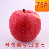 甘肃静宁冰糖心有机原生态野生苹果5斤新鲜水果红富士特产75#包邮