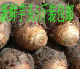 广西特产农家种植有机蔬菜香芋正宗荔浦芋头新鲜芋艿粉香5斤包邮