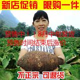 【限购一件】正宗广西特产荔浦芋头 新鲜槟榔香芋生鲜蔬菜5斤包邮