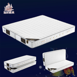 无痕折叠床垫单双人席梦思床垫子对折叠合折新款环保弹簧床垫A853
