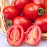 小番茄 圣女果 攀枝花樱桃茄 爱情果 新鲜水果 6斤包邮