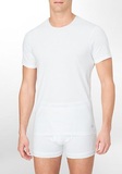 美国采购男士CK圆领日常休闲舒适透气短袖内衣T恤