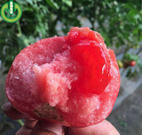 生活元素 农家新鲜有机无公害蔬菜 自然熟大西红柿 北京同城配送