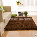 特价可定制丝毛地毯客厅茶几卧室床边家用地毯满铺飘窗可爱地垫