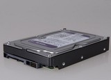 监控专用硬盘 海康威视 2TB紫盘企业级监控硬盘 正品WD20PURX