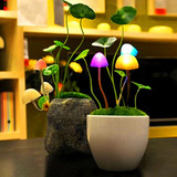 包邮阿凡达蘑菇灯盆栽小夜灯节能创意光控感应LED七彩插电小台灯