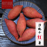 7月新六鳌沙地小红薯 红瓤红心地瓜番薯 新鲜现挖山芋红苕 5斤装