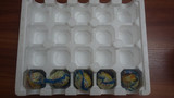咸海鸭蛋泡沫蛋托 海鸭蛋快递专用防震包装盒 20枚装加厚蛋托盒
