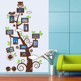 可移除墙面装饰小鸟猫头鹰相框照片树客厅卧室儿童房幼儿园墙贴纸