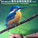 高清写实油画翠鸟 油画教程视频 2dvd 动物鸟类教学 花鸟字教材