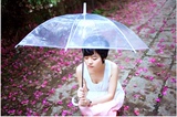 创意超大成人男女环保伞包邮透明雨伞加厚小清新长柄透明伞