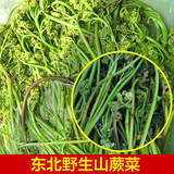 2016年东北野生蕨菜,纯天然绿色山野菜500g,当天现采现发保证新鲜