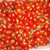 福茹特新鲜水果迷你小番茄 圣女果 千禧果 小西红柿 蔬菜水果沙拉