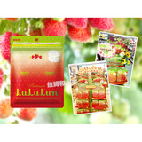 现货 日本代购 LuLuLun枥木限定 草莓魔芋整肌弹力保湿面膜7枚入