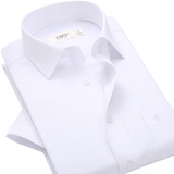 杉杉夏季男士纯白短袖衬衫 商务免烫职业正装面试白衬衣男TCT3349