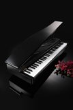 日本代购科音KORG MICROPIANO电钢琴微钢琴迷你钢琴键盘61键黑