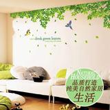 超大墙贴纸绿叶室内天花板装饰温馨卧室客厅沙发电视背景墙壁贴画