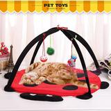 仁可宠物-伊丽甲壳虫帐篷宠物用品 猫咪玩具 吊床猫玩具 猫爬架
