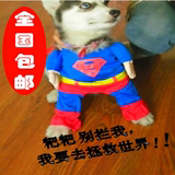 宠物小狗超人变身装衣服金毛边牧哈士奇狗狗超人衣服萨摩泰迪衣服