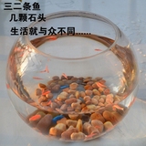 特价包邮 经典圆球玻璃鱼缸 龟缸 透明鱼缸 开放独立式鱼缸