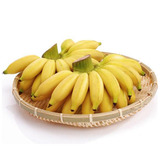潮汕米蕉 新鲜水果粉蕉/小米蕉/香蕉/芭蕉皇帝蕉banana 现摘3斤装