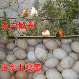 农家土鸡蛋30枚包邮土特产正宗新鲜自养散养草鸡蛋农村笨蛋孕妇蛋