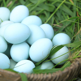高受精率纯种五黑鸡种蛋五黑一绿种蛋绿壳种蛋受精蛋(买9送一）
