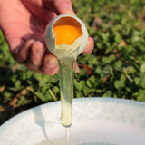 特惠 林地农家散养新鲜乌鸡蛋土鸡蛋草鸡蛋绿壳鸡蛋10枚一盒